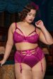 Madame X Magenta Plunge Curve Bra Discount