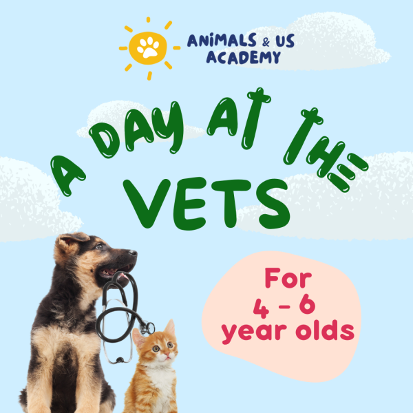 ‘A Day at the Vets’ Workshops with Animals & Us Academy Hot on Sale