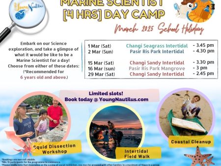 Young Nautilus 4-Hours Marine Scientist Day Camp Online Hot Sale