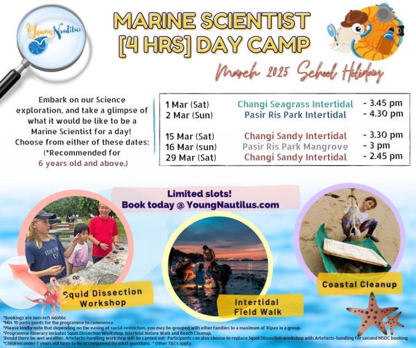 Young Nautilus 4-Hours Marine Scientist Day Camp Online Hot Sale