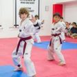 Kid s Taekwondo Class x 4 (1 month) with Registration Fee Waiver @ $160 (U.P$ 210) Sale