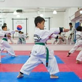 Kid s Taekwondo Class x 12 (1 Term) with Registration Fee Waiver @ $456 (U.P $530) For Sale