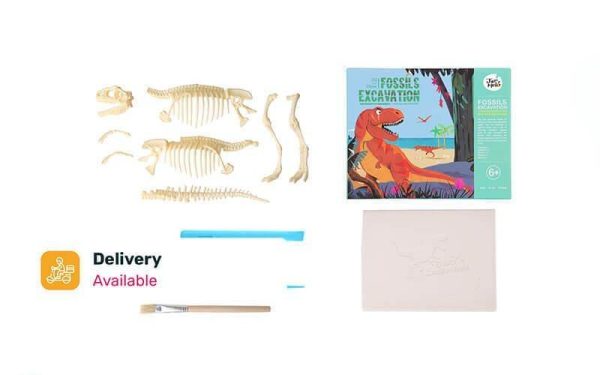 Dinosaurs (Stegosaurus  T-Rex) Fossil Excavation Art Experience Kit from $24 on Sale