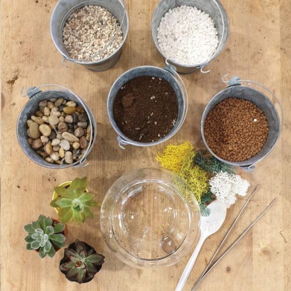 The Green Capsule: Open Succulent Terrarium DIY Kit @ Just $50 (Delivery Fee Inclusive) Hot on Sale