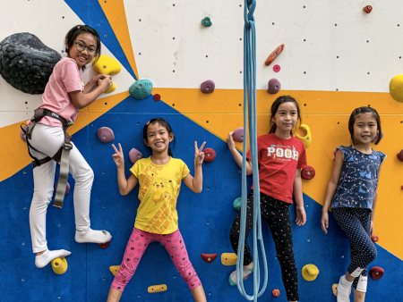 Birthday Party Package at Upwall Climbing Cheap