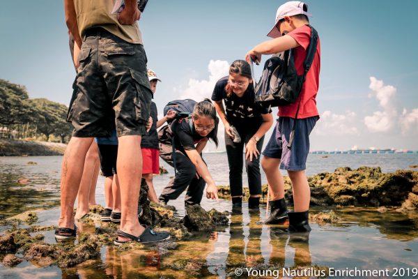 Young Nautilus 2-Hr Nature Walk Programmes from $56 For Cheap