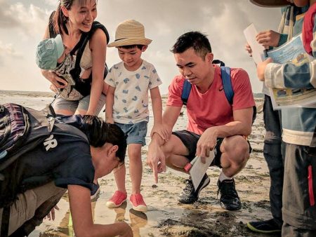 Young Nautilus 2-Hr Nature Walk Programmes from $56 For Cheap