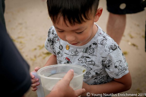 Young Nautilus 2-Hr Nature Walk Programmes from $56 For Cheap