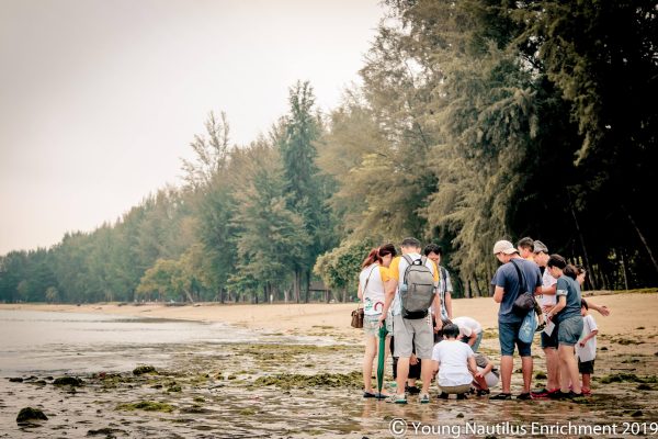 Young Nautilus 2-Hr Nature Walk Programmes from $56 For Cheap